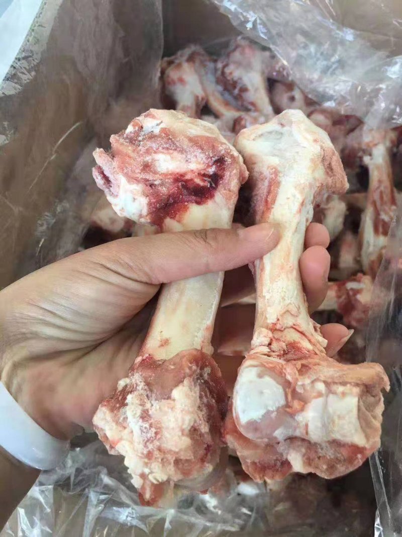 羔羊棒骨满满的肉厂家直销