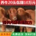 皮特蒙特牛免费送货品种优良品质保障包回收