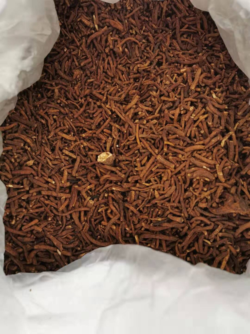 蒲公英根茶野生纯蒲公英茶天然特级