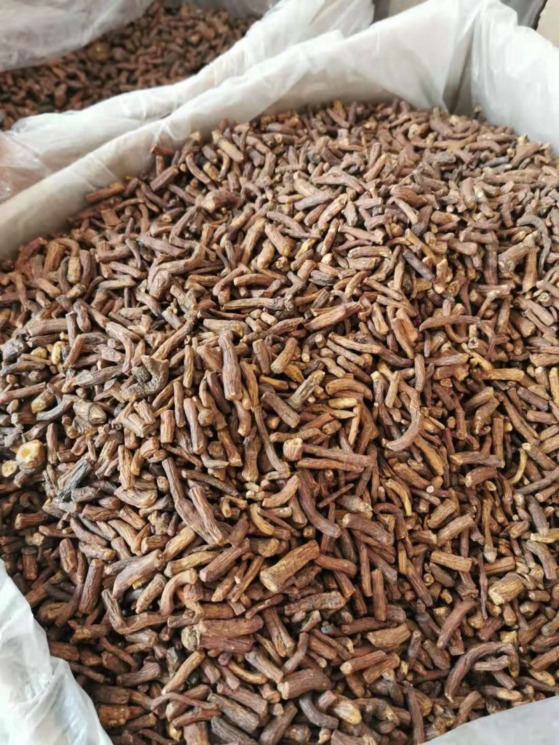 蒲公英根茶野生纯蒲公英茶天然特级