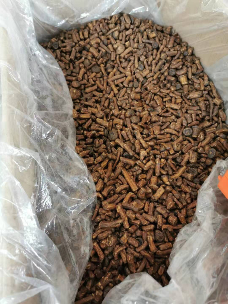 蒲公英根茶野生纯蒲公英茶天然特级