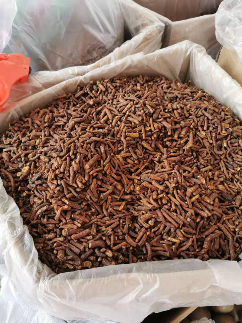 蒲公英根茶野生纯蒲公英茶天然特级