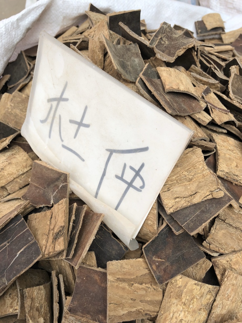 中药材杜仲野生无硫杜仲皮男性泡茶泡酒