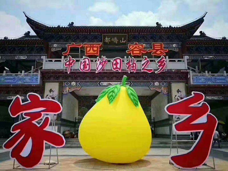广西容县沙田柚肉清甜脆口水份足基地直供坏包赔