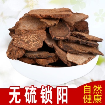 锁阳片批发优质锁阳规格齐全可供大货