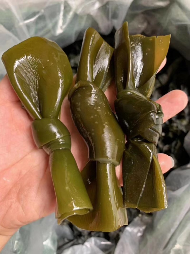 脆脆海带结冬天打火锅干货