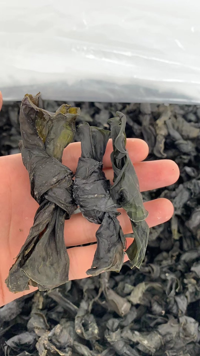 脆脆海带结冬天打火锅干货