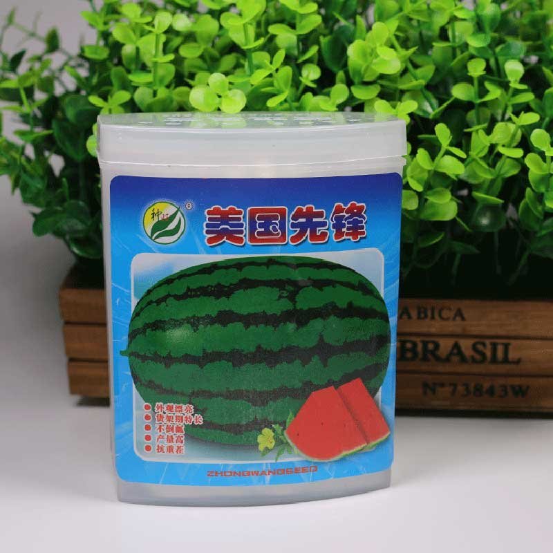 美国先锋高产抗病西瓜种子耐高温高湿耐重茬辽宁种旺出品