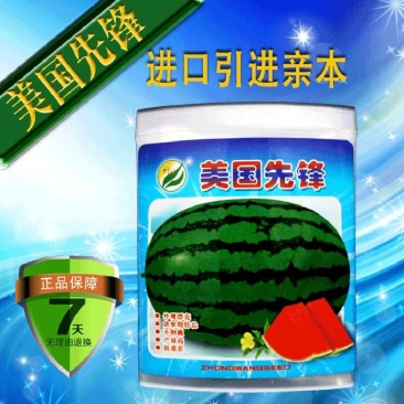 美国先锋高产抗病西瓜种子耐高温高湿耐重茬辽宁种旺出品