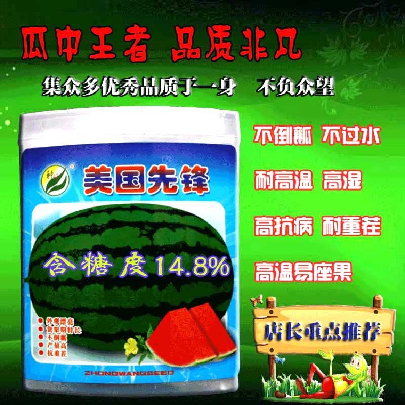 美国先锋高产抗病西瓜种子耐高温高湿耐重茬辽宁种旺出品