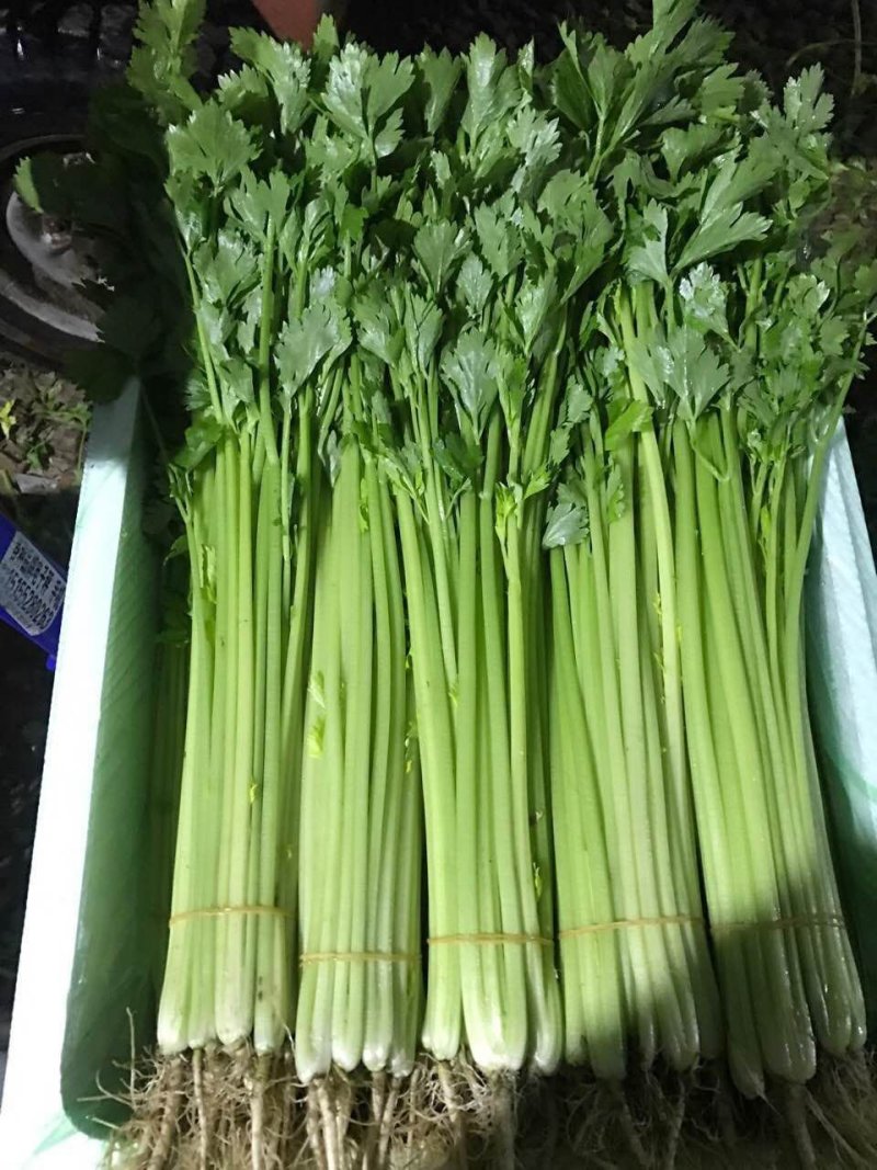 芹菜，各种蔬菜代收