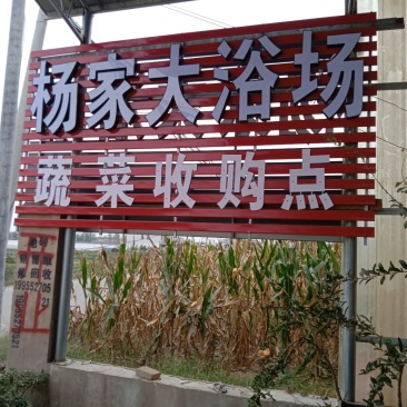 大棚