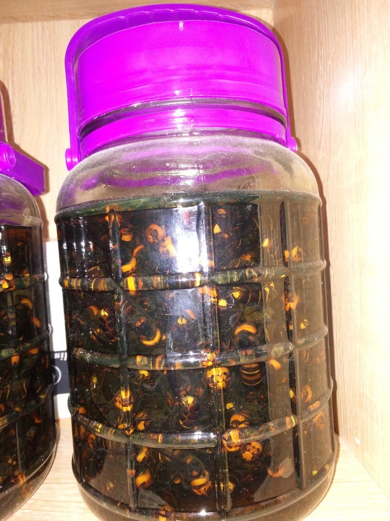 地龙蜂、金环蜂、虎头蜂、胡蜂，广西大瑶山