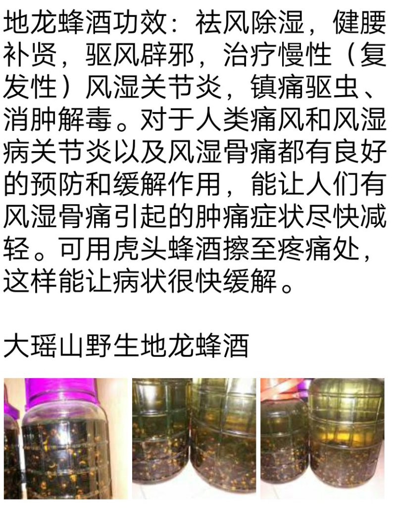 地龙蜂、金环蜂、虎头蜂、胡蜂，广西大瑶山