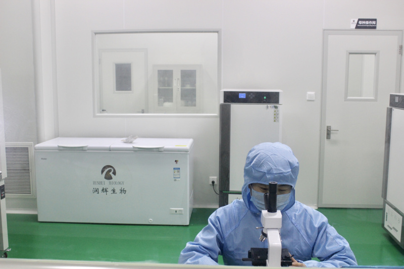 全年工厂生产菌棒，欢迎定做，工厂化生产，出口韩国