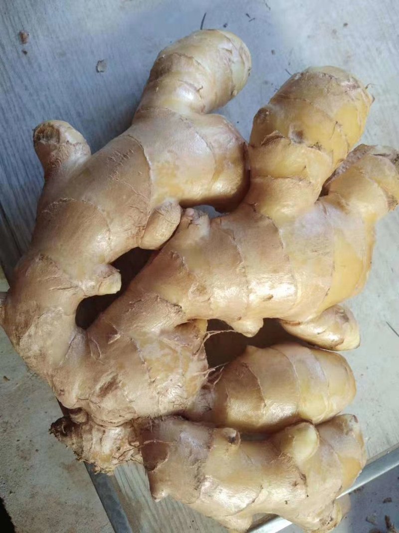 精品生姜，产地直销，货源充足