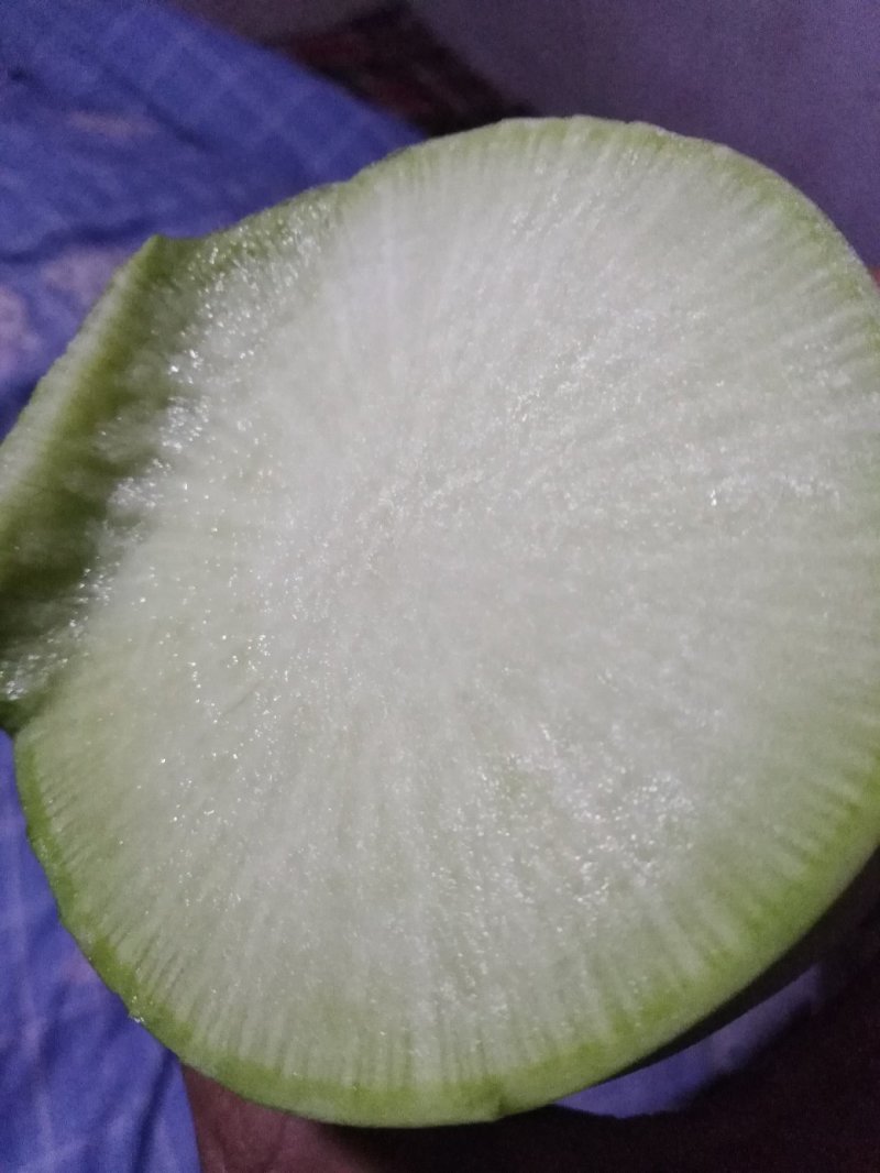 绿萝卜