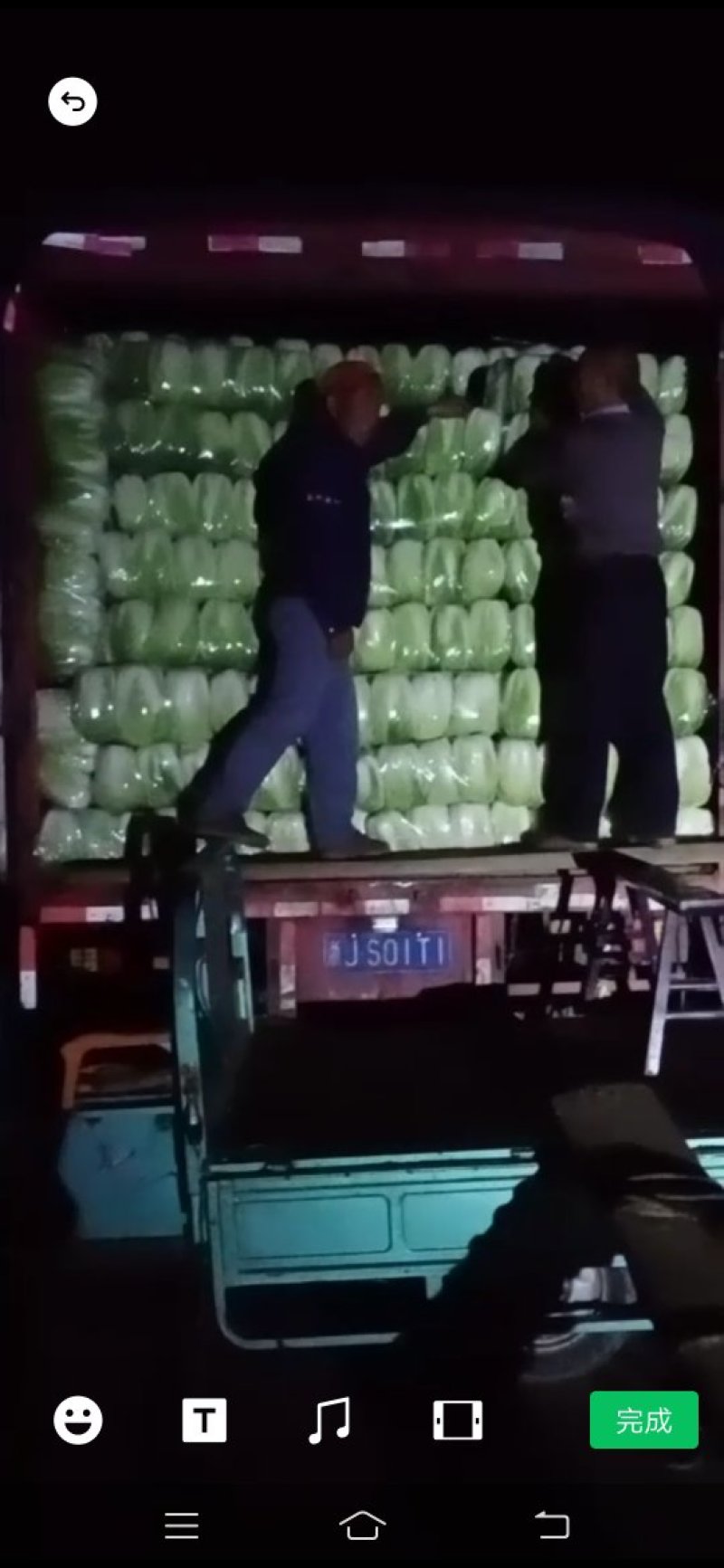 精选秋宝大白菜大量上市产地直发保质保量供应全国批发