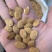 大扁桃仁（家桃仁）各种规格级别，碎桃仁，去皮桃仁