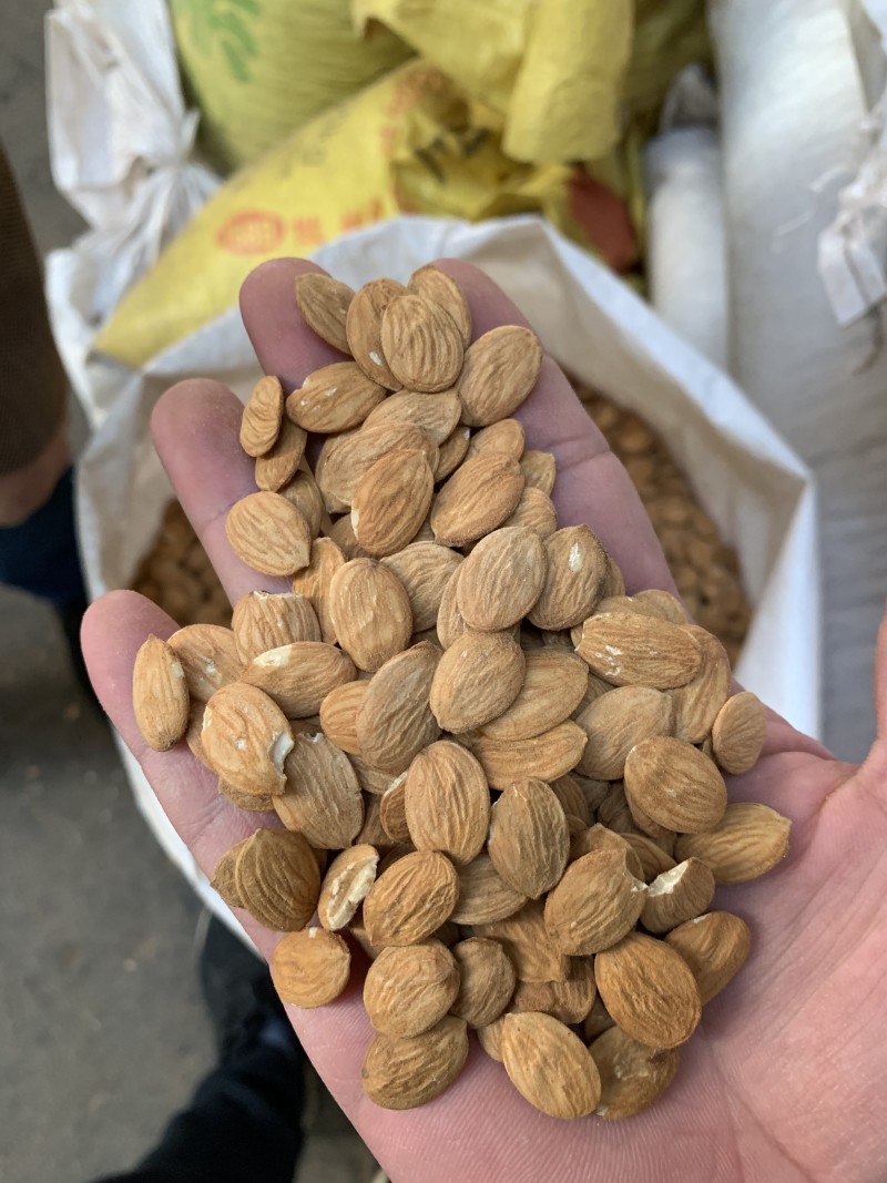 大扁桃仁（家桃仁）各种规格级别，碎桃仁，去皮桃仁