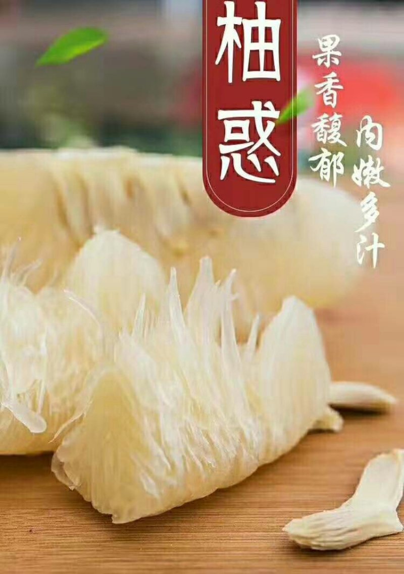 广西容县沙田柚肉清甜脆口水份足基地直供坏包赔