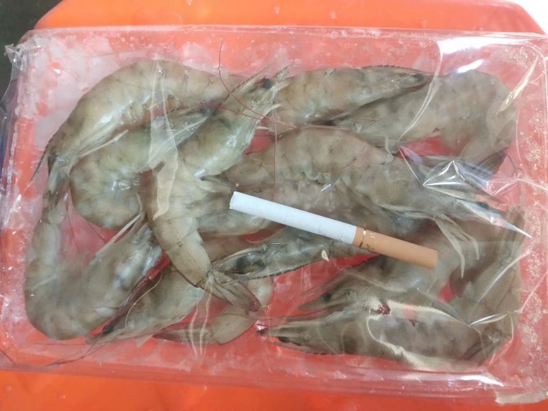 盐田虾海水虾经济实惠价格不贵，吃好回头客高