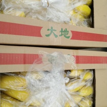 香蕉