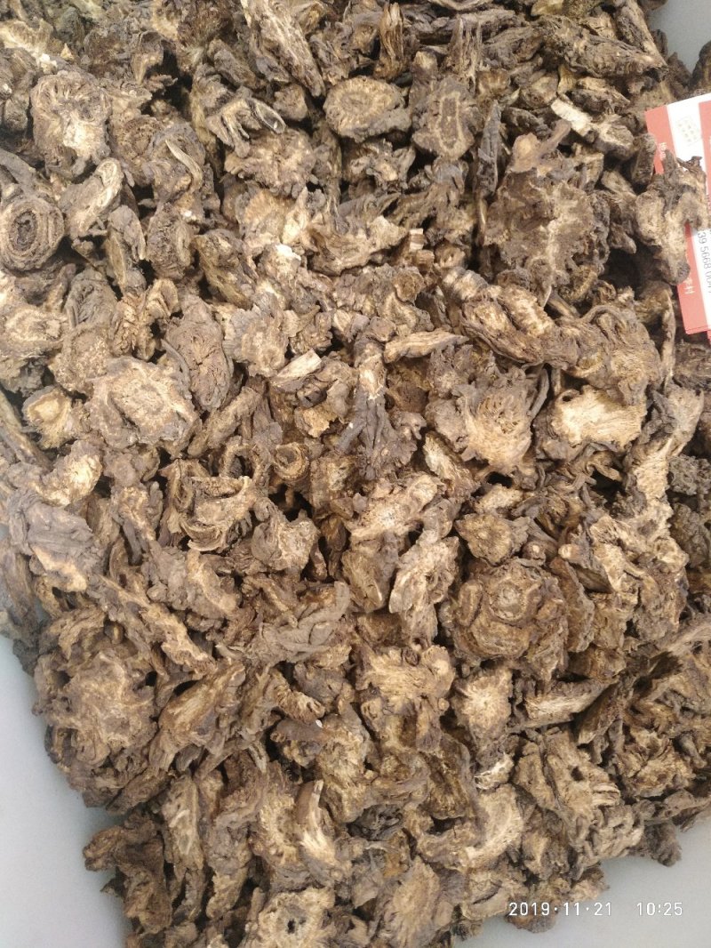 羌活