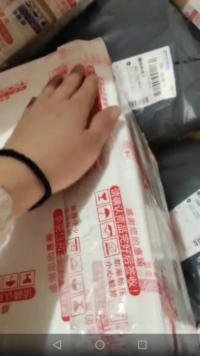 山鸡白条山鸡肉山鸡肉活体现杀山鸡白条新鲜散养有机包活