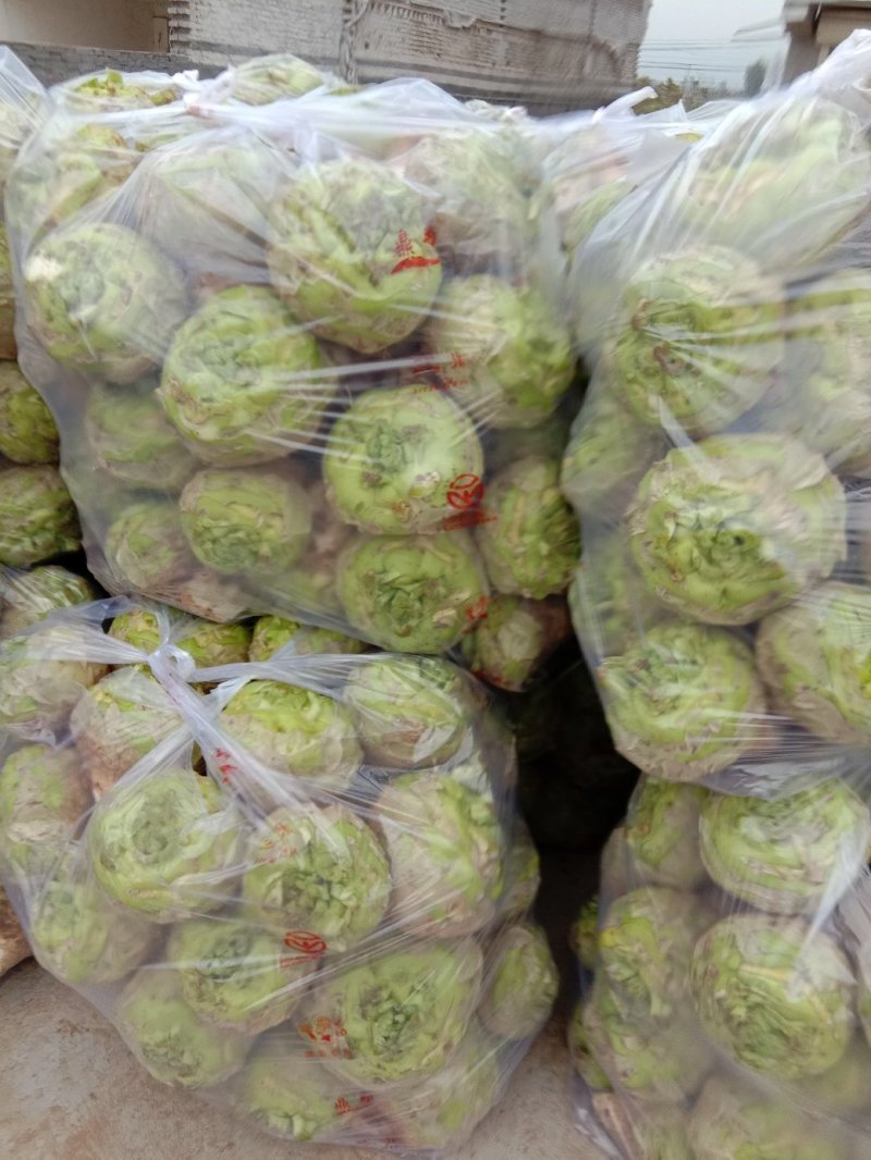 【推荐】汝州市芥菜从十月份以后大量上市货源充足
