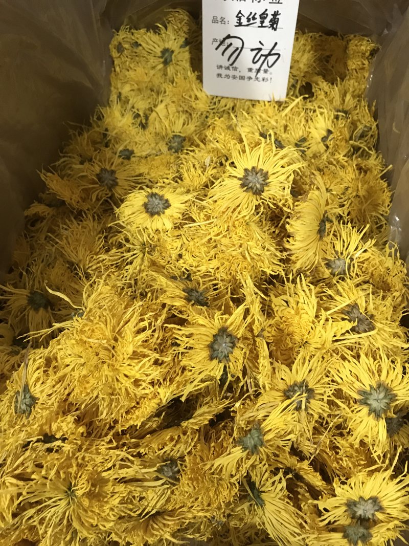 金丝皇菊