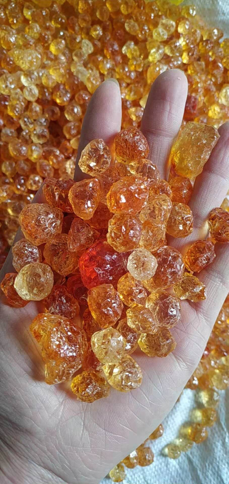 精品修剪颗粒/珍珠桃胶/野生桃胶/