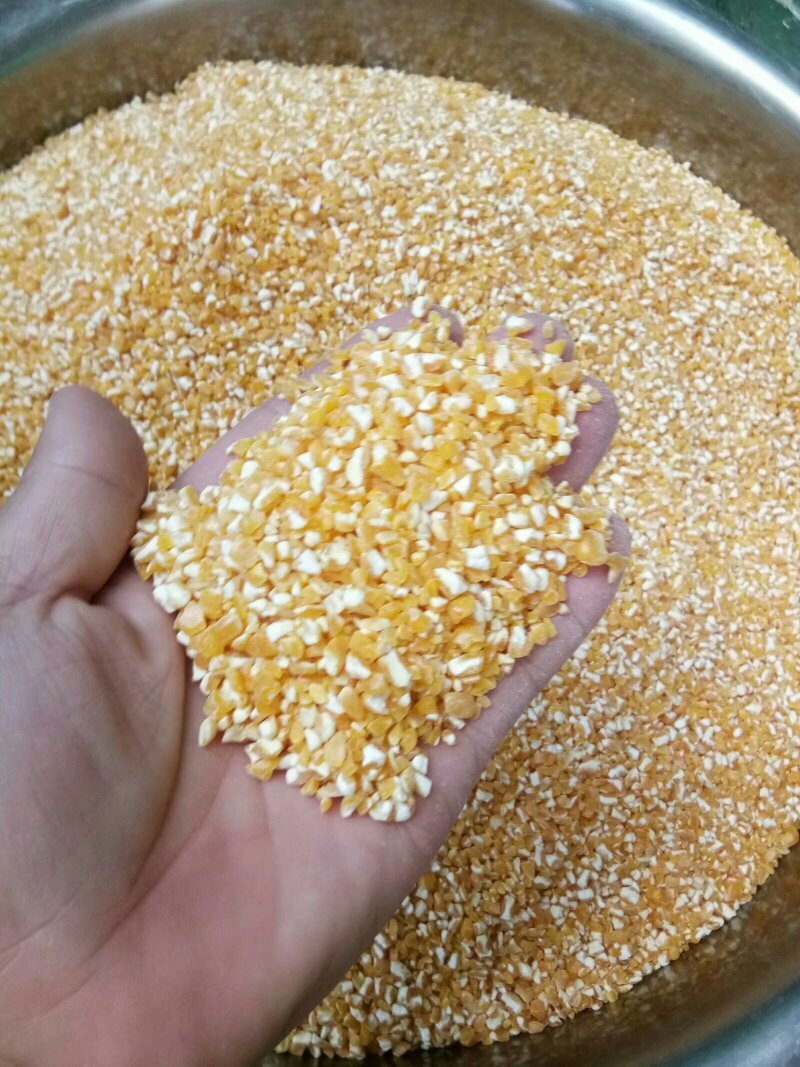 玉米糁