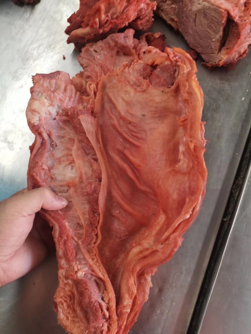安徽宿州优质牛腩肉真材实料价格优惠全国能发可冷冻真空保鲜发货