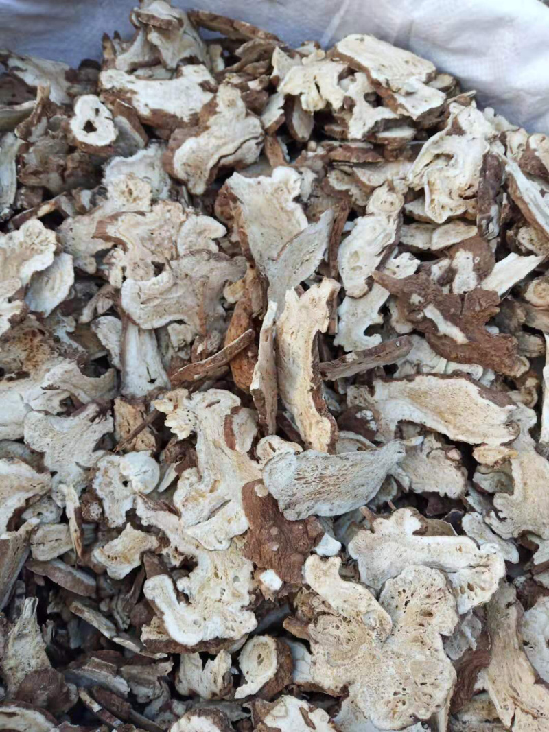 优质白术《一手货源》经营各种中药材一级货二级货都有！