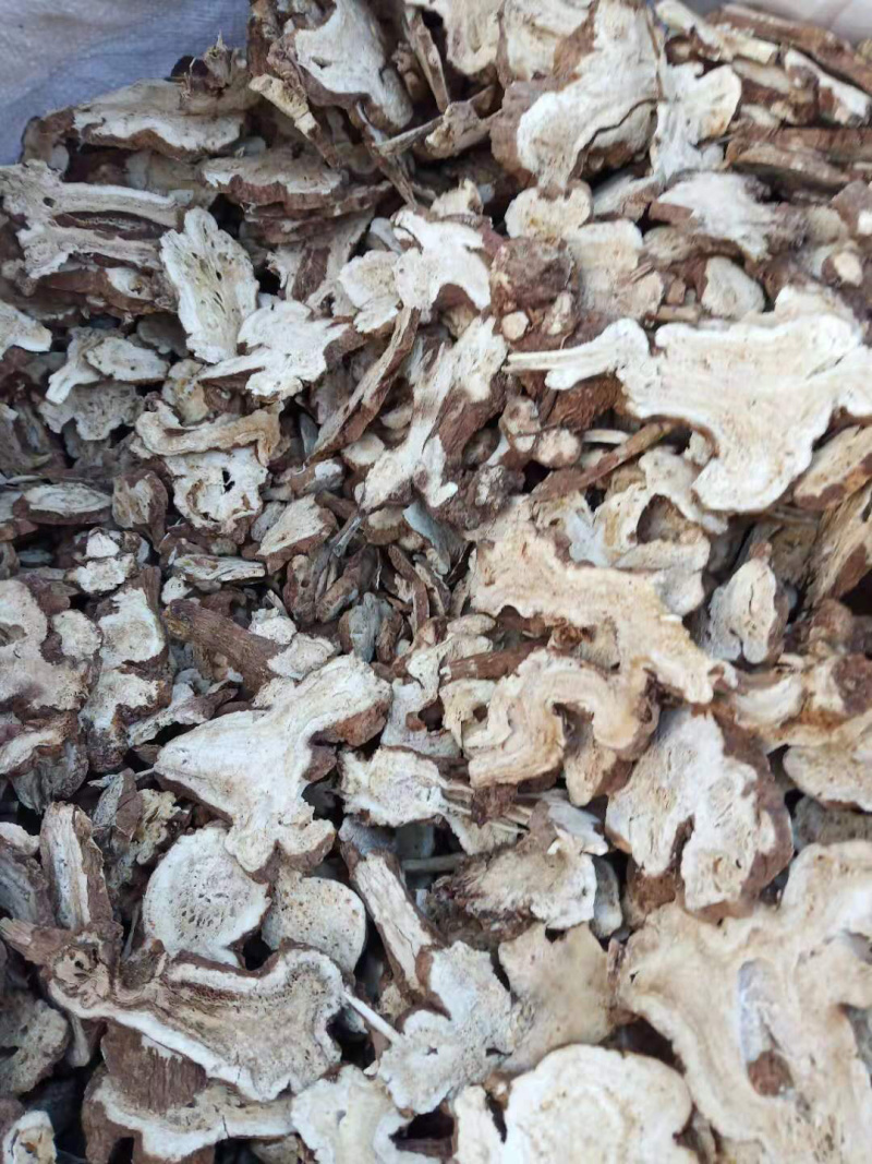 优质白术《一手货源》经营各种中药材一级货二级货都有！