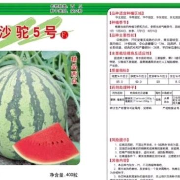 【沙驼5号】西瓜种子有籽丽都种二倍体杂交≥95%
