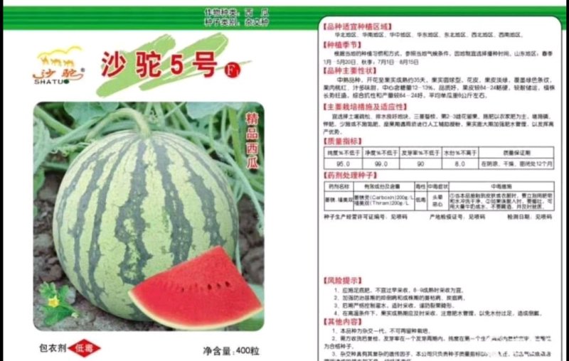 【沙驼5号】西瓜种子有籽丽都种二倍体杂交≥95%