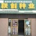 【沙驼5号】西瓜种子有籽丽都种二倍体杂交≥95%