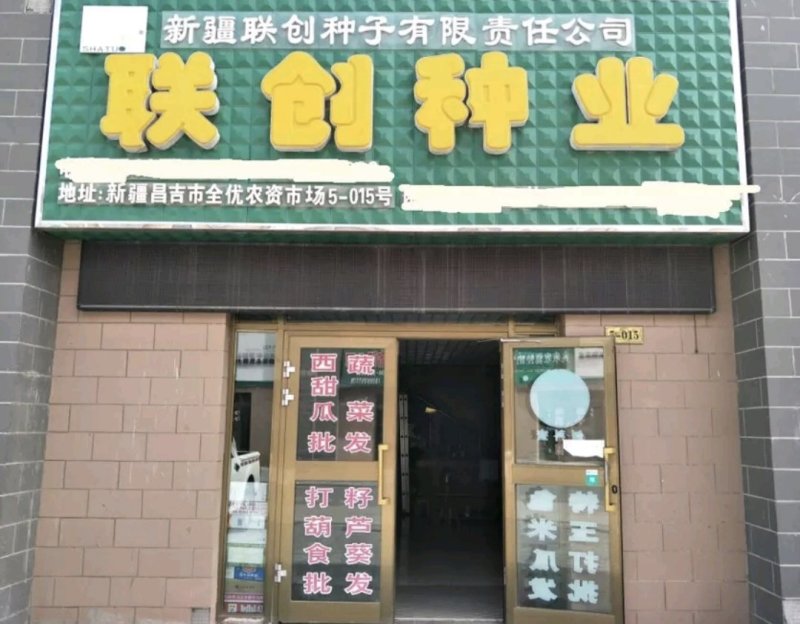 【沙驼5号】西瓜种子有籽丽都种二倍体杂交≥95%