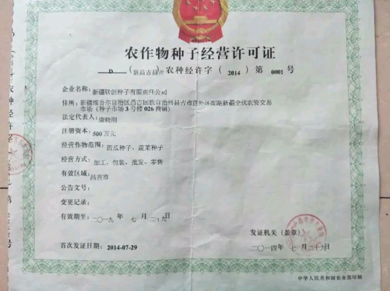 【沙驼5号】西瓜种子有籽丽都种二倍体杂交≥95%