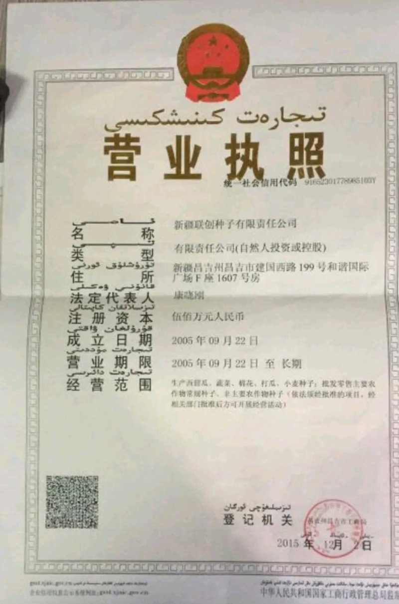 【沙驼5号】西瓜种子有籽丽都种二倍体杂交≥95%