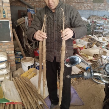 小白嘴山药