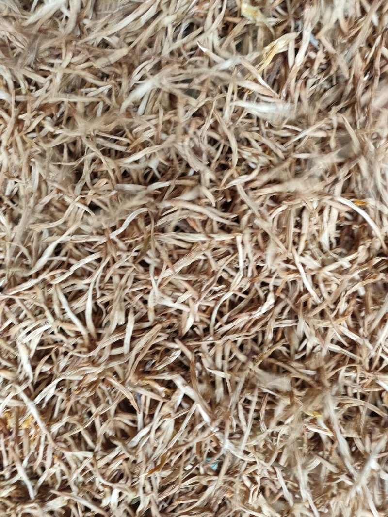【大荔黄花菜】精品黄花菜颜色好无硫***剂全国发货
