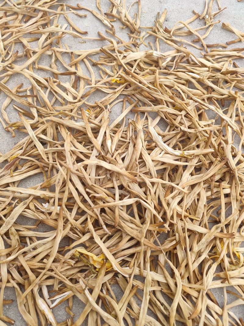 【大荔黄花菜】精品黄花菜颜色好无硫***剂全国发货