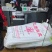 美国八号苹果苗美八苹果树品种纯正现挖现发