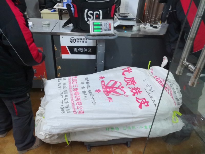 美国八号苹果苗美八苹果树品种纯正现挖现发