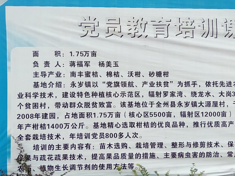 南丰蜜桔