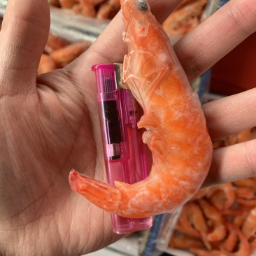 特大号红虾，每件十斤。
