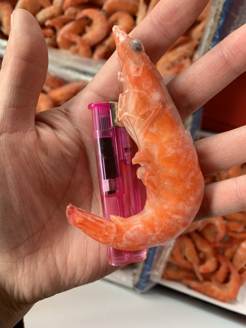 特大号红虾，每件十斤。